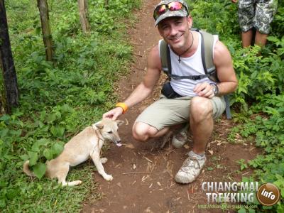 Photos from our guests | Chiang Mai Trekking | The best trekking in Chiang Mai with Piroon Nantaya