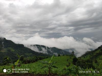 Photos from our guests | Chiang Mai Trekking | The best trekking in Chiang Mai with Piroon Nantaya