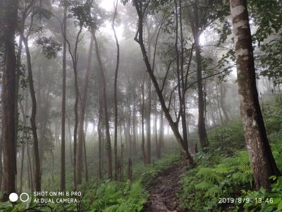 One day trekking only walk 6-7 hours | Chiang Mai Trekking | The best trekking in Chiang Mai with Piroon Nantaya