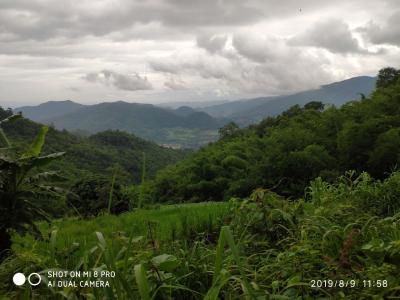 Photos from our guests | Chiang Mai Trekking | The best trekking in Chiang Mai with Piroon Nantaya