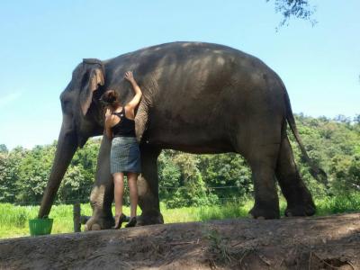 One day soft trekking  | Chiang Mai Trekking | The best trekking in Chiang Mai with Piroon Nantaya