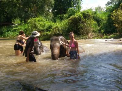 One day soft trekking  | Chiang Mai Trekking | The best trekking in Chiang Mai with Piroon Nantaya