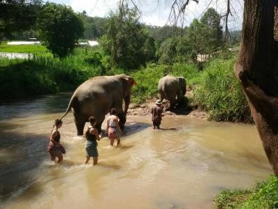 Photos from our guests | Chiang Mai Trekking | The best trekking in Chiang Mai with Piroon Nantaya