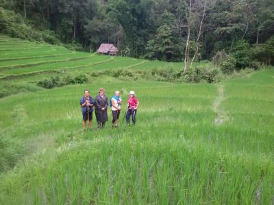 Photos from our guests | Chiang Mai Trekking | The best trekking in Chiang Mai with Piroon Nantaya
