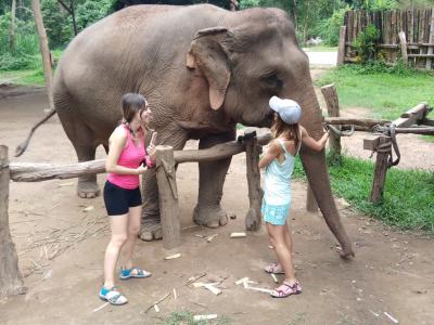 Photos from our guests | Chiang Mai Trekking | The best trekking in Chiang Mai with Piroon Nantaya