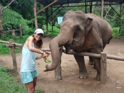 Photos from our guests | Chiang Mai Trekking | The best trekking in Chiang Mai with Piroon Nantaya