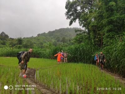 2 days/1 night trekking tour | Chiang Mai Trekking | The best trekking in Chiang Mai with Piroon Nantaya